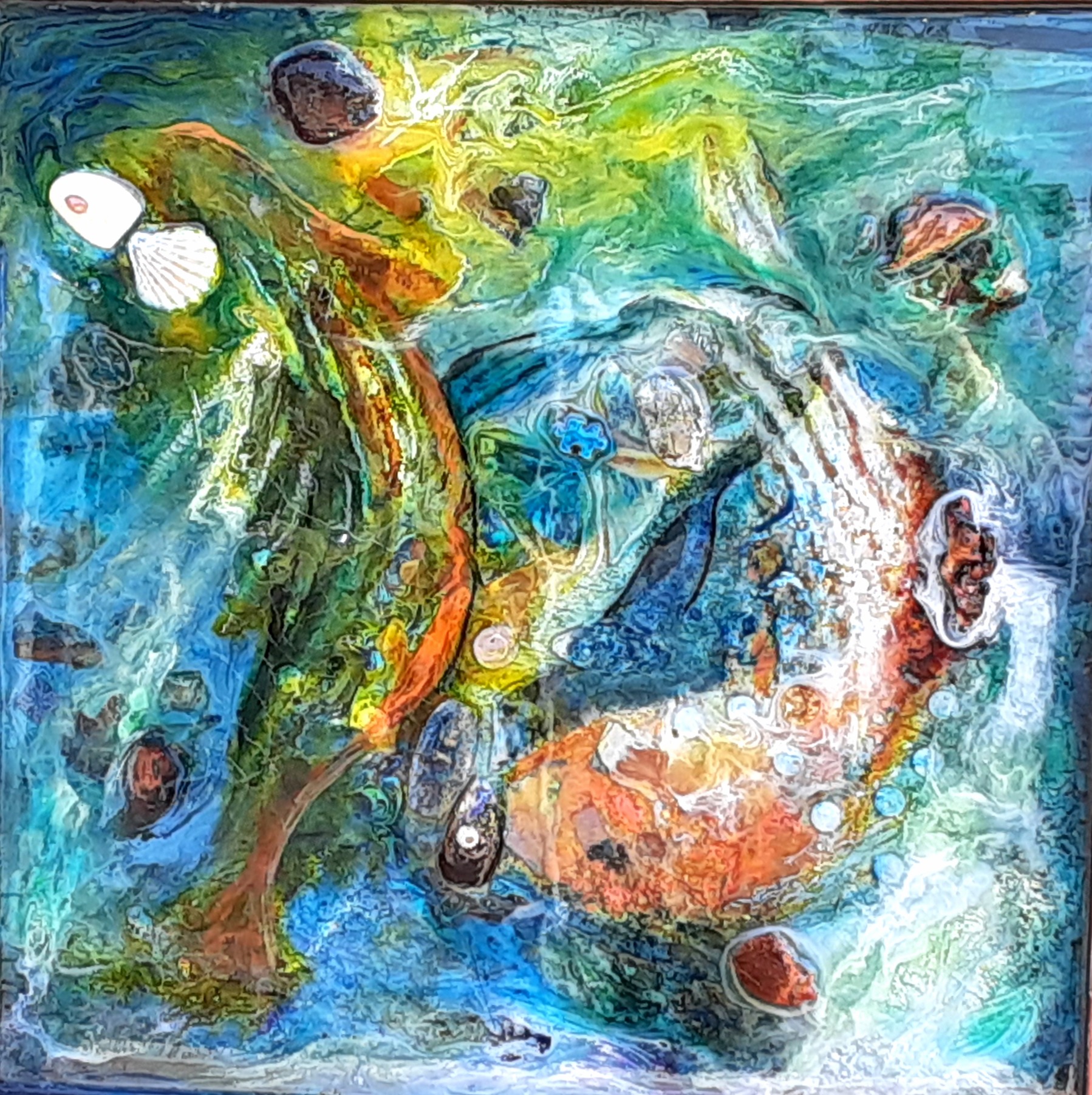 Tidepool by Diana Wunderle