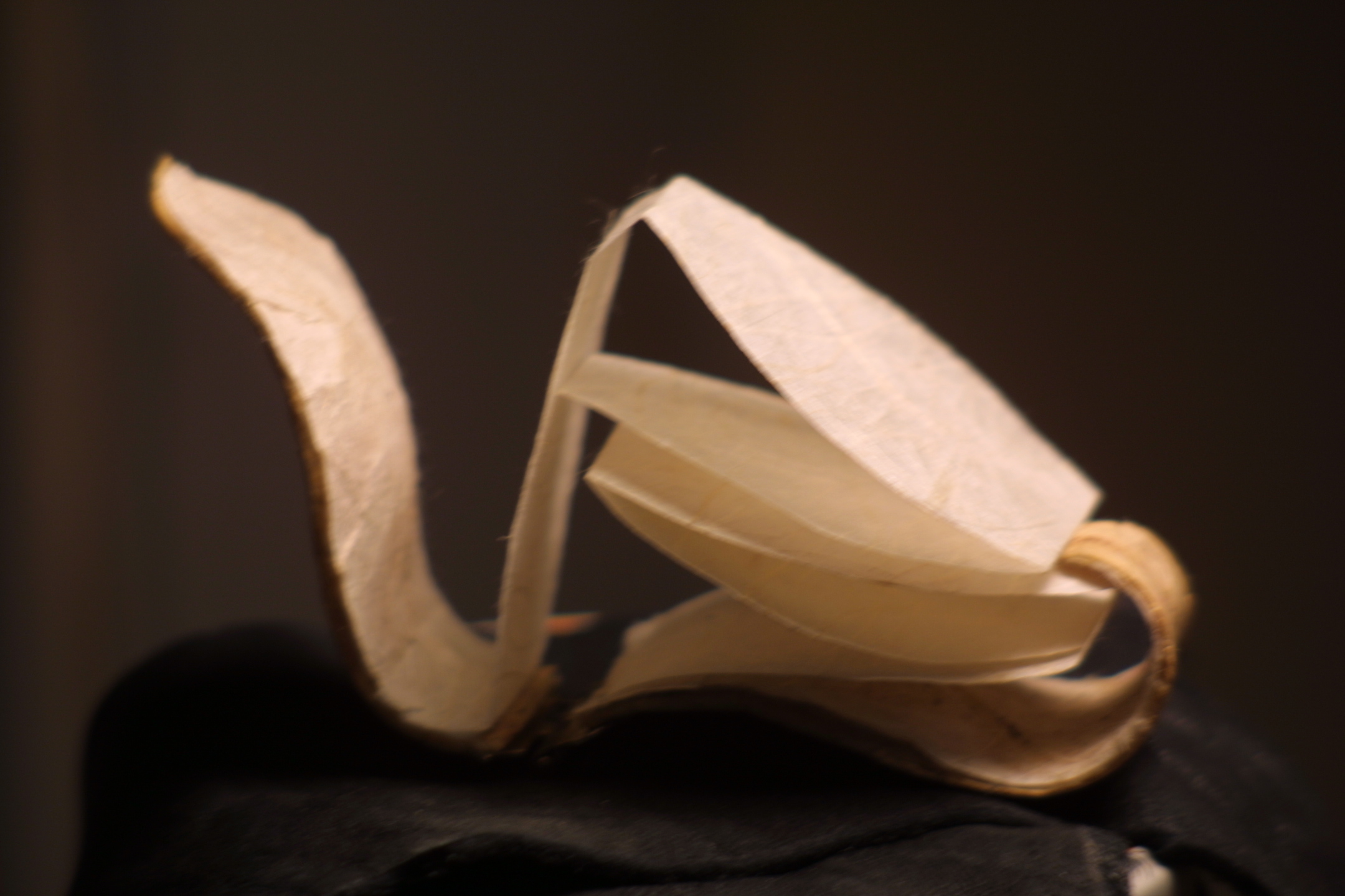 Gourd Vessel by Diana Wunderle