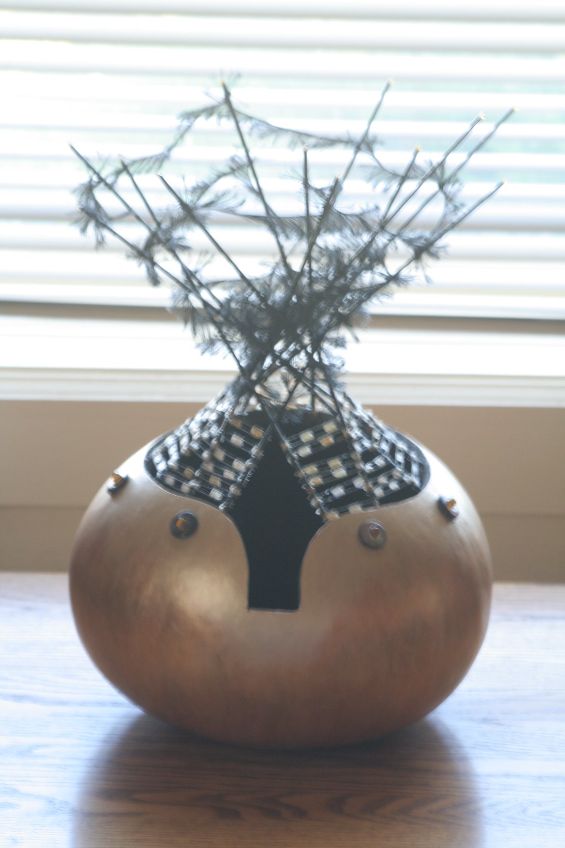 Spider Woman by Diana Wunderle